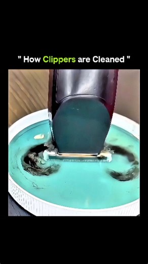 Knowledge Vertex on Instagram: "• Clippers collect hair, oil, and skin debris. • Bacteria can build up fast if ignored. • Cleaning starts with removing loose hair. • Brushes clear debris from blades and vents. • Blades are detached for deep cleaning. • Disinfectant solutions kill germs instantly. • Alcohol removes oils and residue. • Rust-prevention oil is applied afterward. • Blades are realigned and tightened. • Clippers are tested for smooth operation. 🔬 The science behind it: Hair clippers 
