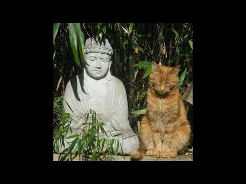 don't stress about things you can't control