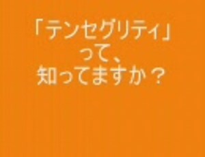 「テンセグリティ」作ってみた・・30本ver.(6本ver.同梱)