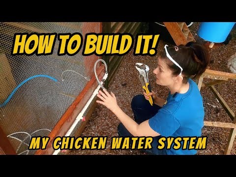 Tired of Daily Water Changes? Build This DIY Waterer For Your Chickens (and more)!