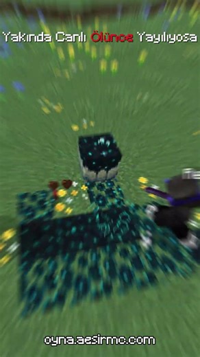 Burada Neler Yaşandı #aesirmc #minecraft #asmp ‪@AesirMC‬ ‪@Tyristana‬