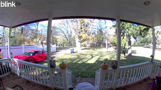 6 comments | Independent Woman! My Corvette tires had 26, 27 lbs instead of 35 lbs! So I put 39 lbs in each tire for storage. I threw the dog food over my shoulder and carried a gallon of Ice Tea in the other hand....cleaned all day NOW I CAN'T MOVE !!!!  Started a fire and Blu is in front of it snoring 殺 We delivered our pumpkin roll fall speciality to our GREAT neighbors 珞 | Lee LaClair | Facebook