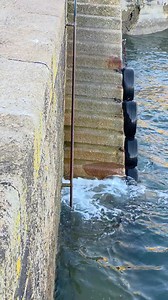 We have 3 to 5 steps worth of rise and fall at our boarding steps at Mevagissey. Passenger and Crew safety takes president over any decision to sail, and with this swell, it is not safe. Not only do we have to cater for every physical capacity and age, the stress to the boats cleats (where we tie off) becomes immense with the throwing forwards and backwards. All of the boats weight, plus passengers, creates a huge force on the fixings. Cancelling our first days possible sailing after loosing a m