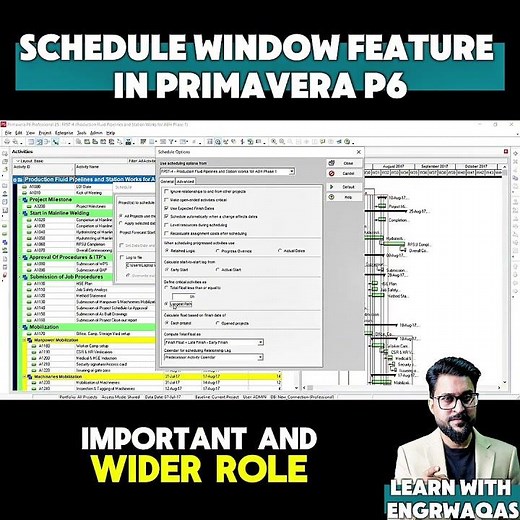 How to Activate Schedule Window in PRIMAVERA P6