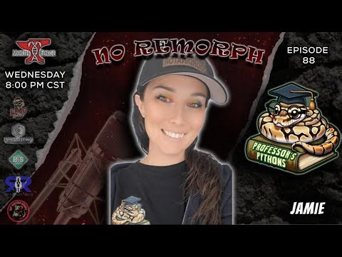Episode 88- Professor's Pythons