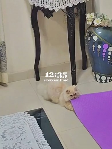 Relaxing ASMR Wednesday Night Routine Unboxing After Coming Home