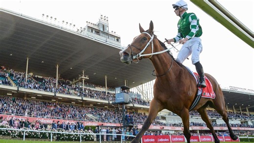 Cox Plate form guide: Our expert’s top 4 and $9 shot that’s biggest danger to the favourite