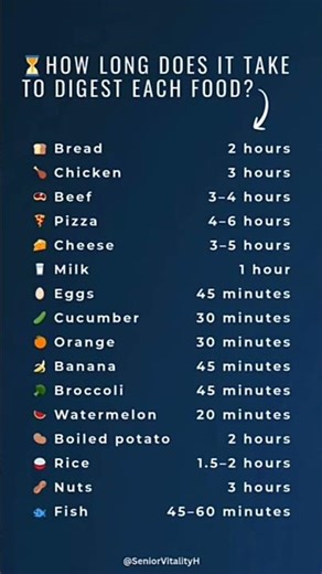 🧀 How Long Does It Take to Digest Each Food?
