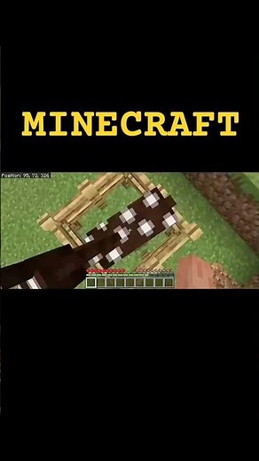 MINECRAFT
