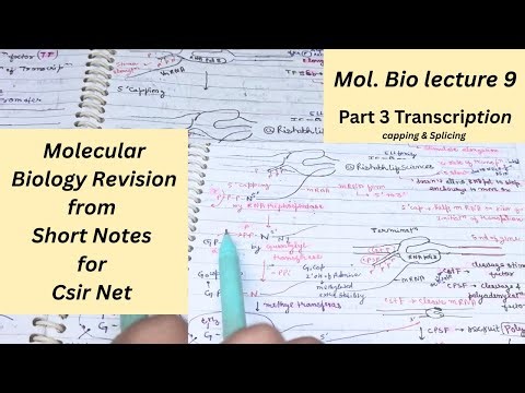 Molecular Biology Revision | Short Notes for CSIR NET, GATE, DBT, ICMR