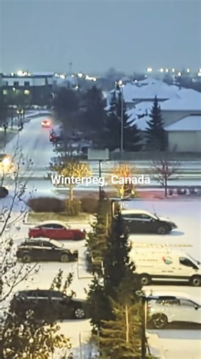 Snow fall - Winnipeg ❄️