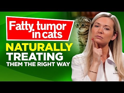 6 Natural Remedies for Fatty Tumor in Cats You Should Know About