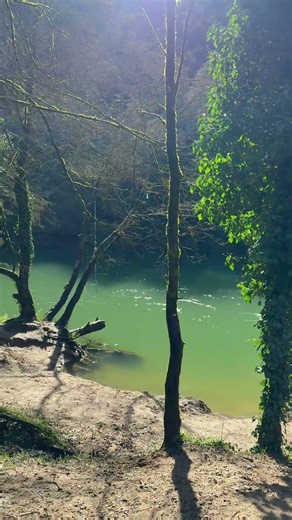 Balade sur les berges de la Siagne à Pégomas #cotedazur #travel