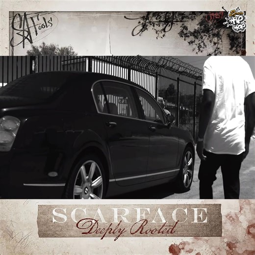 43K views · 2.3K reactions | 10 años de Deeply Rooted qué es el...