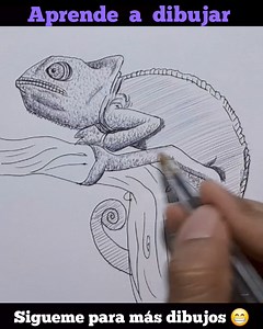 Aprende a dibujar un camaleon paso a paso. #camaleon #dibujo #dibujosanimados #dibujosalapiz #dibujosart #dibujotradicional #dibujos #dibujosacolor #dibujosfaciles #dibujosasombrosos #dibujosamano #dibujoalapiz #dibujoamano #dibujoamanoalzada #dibujoartistico #dibujoacolor #dibujar #aprendeadibujar #comodibujar #drawingoftheday #drawingtutorial #drawingart #drawing #drawingsketch #artgallery | Dibujos a todo color