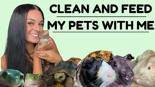 Clean and Feed My Pets with Me! | Pet Care Routine
