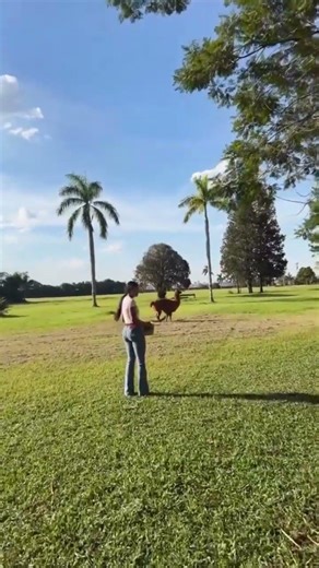 Ana Castela is taking care of her animals after her trip to the United States.