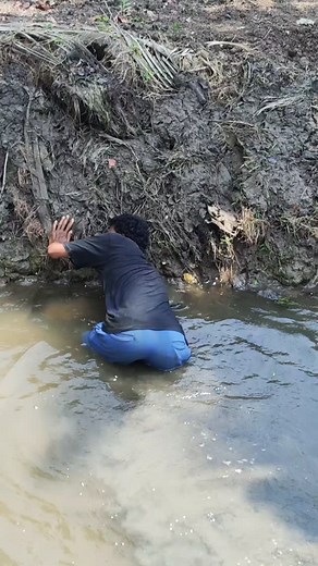 34K views · 1.8K reactions | Catching Snakehead Fish With Hands @wildboybalu . . . . . . . #handfishing #fishingvideos #fishing #fishinglife | Wildboybalu | Facebook