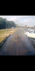 11K views · 37 reactions | Its called texting and driving...simple..dont do it.. 洛 . . . . . . #carcrash #carcrashes #carwreck #wreck #carcollision #collision #crash #driving #drivers #driver #dashcam #roads #roadrace #cars #car #carsofinstagram #carsofig #cargram #carporn #highway #freeway #drivesafe #roadsafety #trucks #truckdriver #nashville #nashvilletn #nashvilletennessee #tennessee #tennesseelife | For Today | Facebook