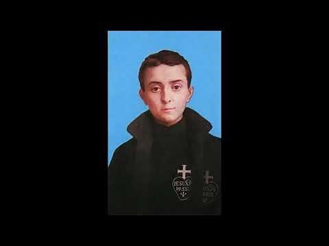 Saint Gabriel Possenti and the Passionists