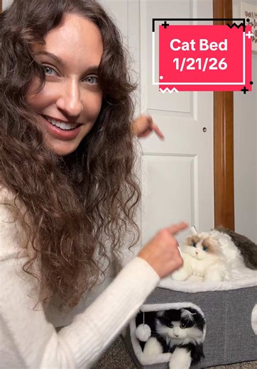 Give your cat the coziest hideaway—extra-large, soft, and built for play, scratching, and all-day naps. #reneestakey #ad #CatBed #CatCave #CatCondo #IndoorCats #PetFurniture #KittenEssentials #CatLovers #PetComfort #CatHideaway #CatMomLife #cat #cutecat