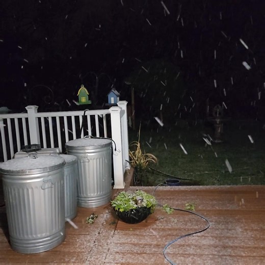 Our 1st Snow Dust 32 Degrees Out. And Our G.Son has to CADDY IN THIS MESS. LOL GOLFERS ARE NOT TO SMART. | Dawn French