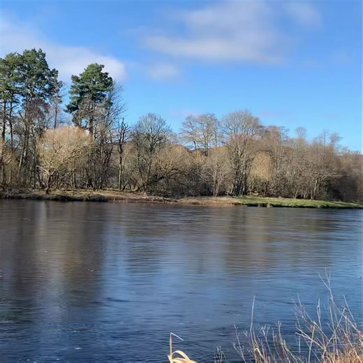 Tulchan Club on Instagram: "Did you know the River Spey is approximately 107 miles long, making it the third-longest and one of the fastest flowing rivers in Scotland. Find out more about our fishing availability by emailing estate@tulchan.com Opening day is on the 11th February. #speyfishing #tightlines #salmonfishingholidaysscotland #speyside #visitcairngorms #fishingseasonsoon"