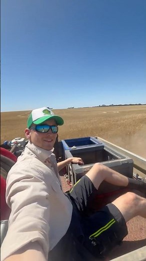 Dashing through the bush, in a rusty Holden Ute…🎶🎄#australia #christmas #shorts