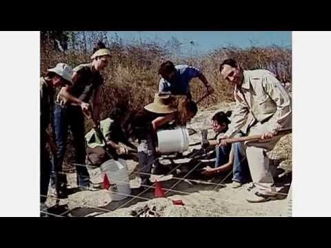 Arrested Development: Buster's Studies