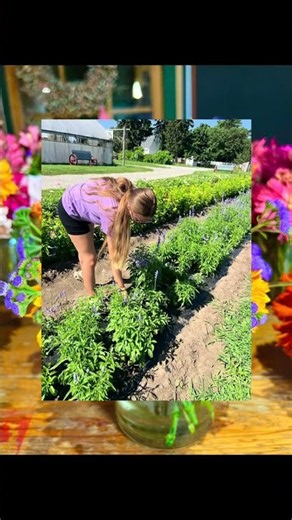 The Flower Farming Process: From Field to Dried Bouquet