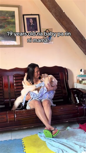 Celebrating Love for Senior Dogs: Tips and Care