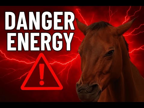 The Shocking Way Horses Sense Bad People.