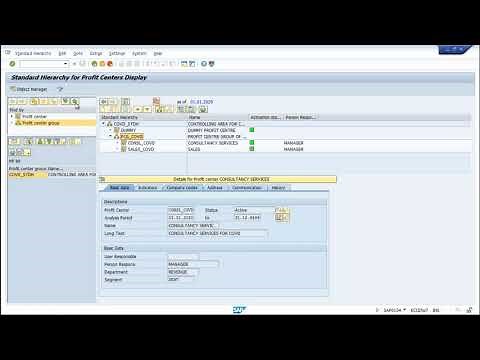 Standard Hierarchy Profit Centre Group and Profit Centre in SAP FICO