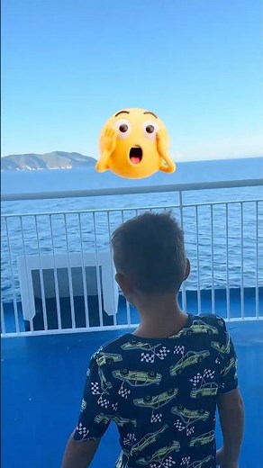 Ferry Safety Together 🚢