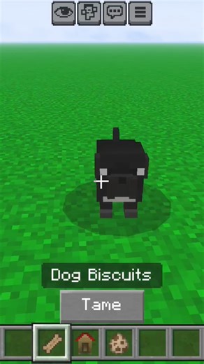 PUG IN MINECRAFT #minecraft#minecraftgameplay