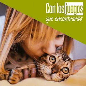 Ejercita, quiere y divierte sanamente a tu gato → http://bit.ly/JuegaConTuGato | Oh Mai Gat