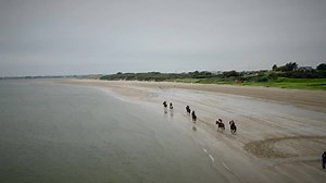 10K views · 200 reactions | Not a bad place to exercise ️ Find out more about Ado McGuinness and his team in the company of Johnny Ward. Day 1 runners on Longines Irish Champions Weekend at Leopardstown Racecourse >>> https://www.racingtv.com/news/ghaiyyath-all-set-for-irish-champion-stakes | Racing TV | Facebook