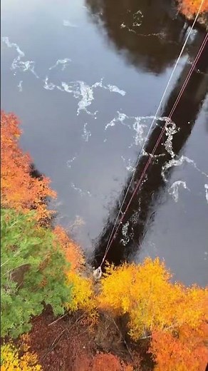 That was a BRUTAL surprise! #highlandfling #bungeejumping #swing #scotland #shorts