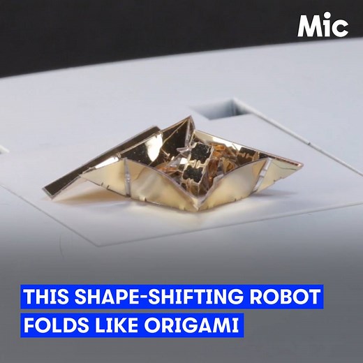 This robot's reusable exoskeleton moves like origami — unfolding an infinite number of possibilities. | Mic