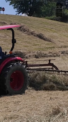 Raking HAY to Turn Into Bales #Hay #HayBales #BalingHay #FarmLife | Out of the Woods Forestry