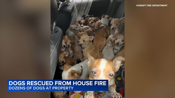 Dozens of dogs rescued from burning home on Minnesota Street in Lake Station, Indiana, Hobart fire officials say