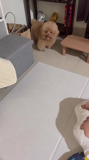 una dah mls ladenin 🤣