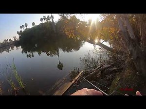 EL Dorado Park Long Beach Ca. Fishing S1 E2 #californialake #lakeperris #fishing