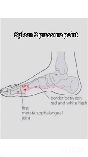 Acupressure spleen 3 point ke fayde #acupoints #shorts