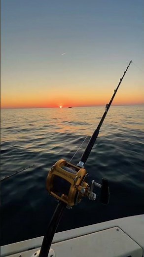 Blue fin tuna fishing, Portland Maine