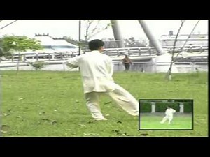 Taiji Quan 108 Shi 2nd Edition 太极拳 108式 + 口令 吴增新老师 （再版）