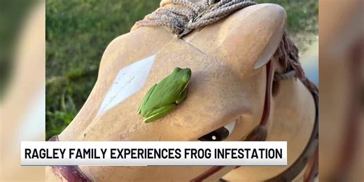 Ragley family experiences frog invasion