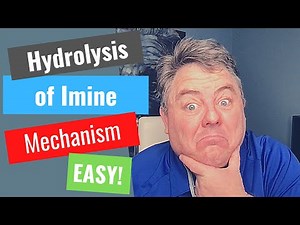 The Mechanism for Imine Hydrolysis