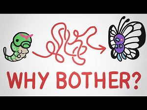 Why Do Butterflies Bother Being Caterpillars?