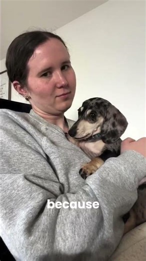 Getting your first hooman 101